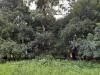 Ensuring food security: Ghana must prioritize building soil organic matter and fertility – Researcher