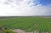 Women own 20% of farming units in South Africa: a growing force in agriculture