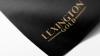 Lexington Gold reports continued progress in South Africa, US