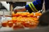 Agricultural sector defies global trade turbulence with robust ...