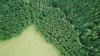 Watching Over New York: The Role of Satellite Data in Environmental Monitoring