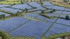 British solar power surges past 2024 total