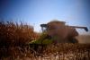 Brazil GDP proxy dips in June on weaker farming sector