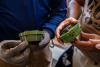 How to defuse the explosive conflict between Cambodia and Thailand