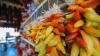 What to know about Hatch chile season, Hatch Chile Fest 2025