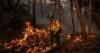 Spain's wildfires disrupt Camino de Santiago route, spread to mountains