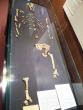 Lucy’s 3-million-year-old skeleton exhibition in Prague!