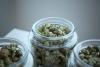 Delaware Governor Seeks Marijuana Regulation Advice From Colorado Counterpart As State’s Legal Market Launches