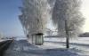 Estonia's winters increasingly mild in the wake of westerly winds