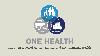 Agriculture Officer stresses vital role of plant health in food security under One Health Initiative