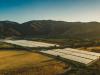 Defendants Settle Environmental Protection Lawsuit Over Unlawful Use of Diesel Generators for $620,000