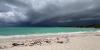 Photos, videos show Hurricane Erin from beach in Bahamas: See them here