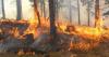 Albania reports 23 wildfires, most contained