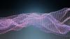 ICCCNet-2025: Defining the Future of Global Innovation and Technology Leadership