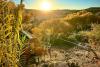 The Best Arizona Airbnb for a Summer-to-Fall Escape