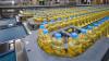 Ceteris Paribus: Manufacturing sector sluggish despite more investment