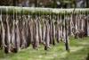 Last Words: Where Is Icelandic Culture In 2025?