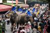 Festive Indonesia celebrates 80th Independence Day
