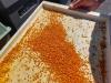 Honey season not very sweet in Latvia this year