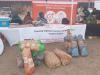 LESOTHO AGRICULTURAL FAIR DRAWS CROWDS, BOOST ECONOMY