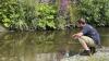 Swimming: All Luxembourg bathing waters safe from algae this weekend