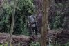 Congo, M23 Rebels Fail To Meet Doha Peace Deal Deadline