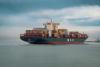 Baltimore Cargo Ship Explosion Updatee: Vessel Showed Signs of Fire Damages Before Incident - Was It Neglect?