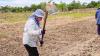 All female Thai agricultural workers report abuse under Israeli employers