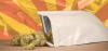 Arizona Cannabis Sales Fall for Second Straight Quarter 