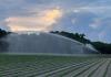 Virginia Allocates Record $304 Million for Agricultural Conservation Practices