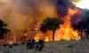 Algeria Caught Between Scorching Heat and Raging Wildfires