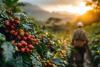 Seed Companies Explore Public-Private Collaboration to Support Agricultural Producers