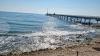 Over 170 Oil Spills Detected in Bulgarian Black Sea Waters over Past Year - Greenpeace Bulgaria