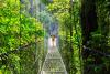 A forest canopy becomes the stage for Costa Rica’s finest dishes