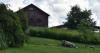 Agriculture experiences engage families