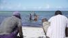 Environmentalists Confident Case Against US Funding of Mozambique LNG Project Will Succeed