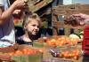 Things to do in the Loveland area Aug. 19: Farmers market; food truck rally; free screening of ‘Zootopia’