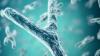 Chromosomes Say Female But It Has Organs Of A Male — Disturbing Trend In Australia | Science Explained