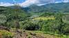 Producer Prices in Forestry in Bulgaria Down 7.5% in Q2 2025 Y/Y