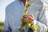 3 entities enter into pact for soybean trait stack in Brazil