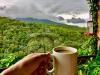 8 of the best places to drink coffee in Costa Rica