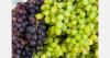 Croatia grape imports rise as local supply stays limited