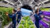 Future of farming? How astronauts are growing food in space