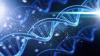 How cohesin mechanics and nanotracker tech are redefining DNA research
