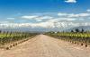Giving Back In Argentine Wine Country