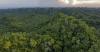 Maya Forest pact with Belize and Guatemala moves ahead