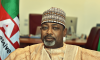 Nigeria spends $10bn annually to import food, says agriculture minister