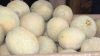 Showcasing the county’s agriculture