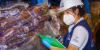 El Salvador’s Consumer Ombudsman Recovers $156.9 Million for Citizens Under Bukele Administration
