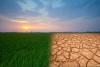 Nature-based solution to address climate change